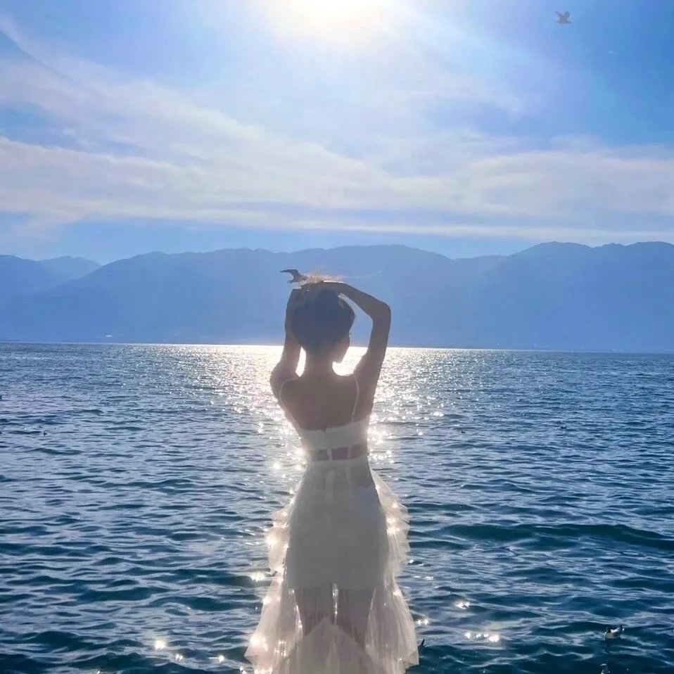 野蔷薇与多金先生